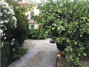 Mon Paradis Main Guesthouse